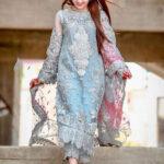 Heavy Embroidered Organza Dress with Organza Dupatta (Unstitched)