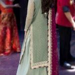 Luxury Chiffon Dress with Heavy Embroidery & Dupatta