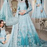 Heavy Embroidered NET Wedding Maxi Dress with Full 3D Handwork