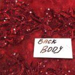 Heavy Embroidered Maroon Net Dress with Trouser & Dupatta